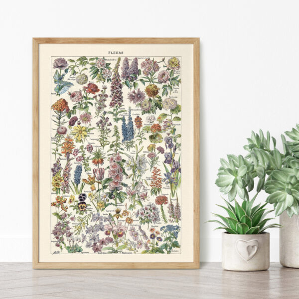 Fleurs - Kwiaty – plakat vintage we wnętrzu