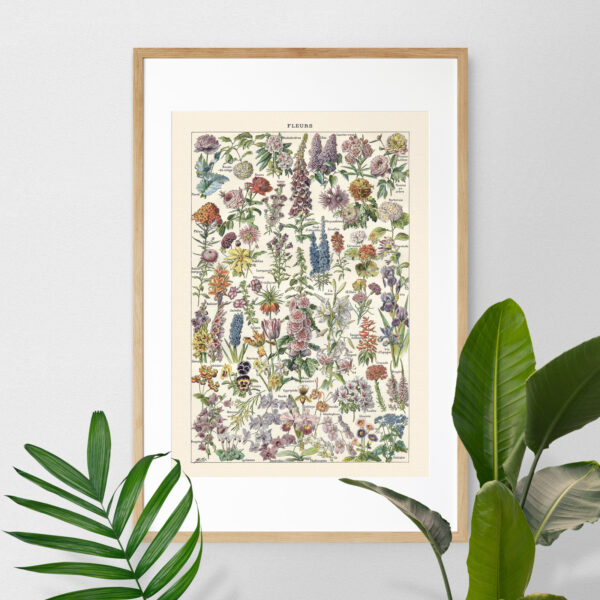 Fleurs - Kwiaty – plakat vintage we wnętrzu