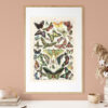 Papillons - Motyle – plakat vintage we wnętrzu