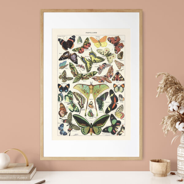 Papillons - Motyle – plakat vintage we wnętrzu