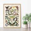 Papillons - Motyle – plakat vintage we wnętrzu