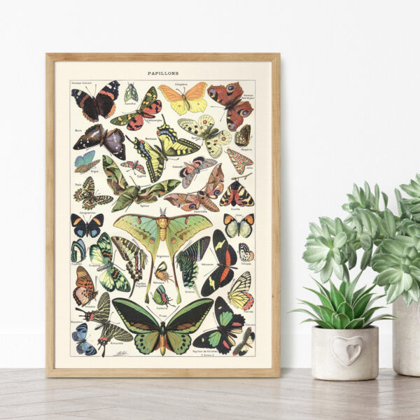 Papillons - Motyle – plakat vintage we wnętrzu