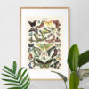 Papillons - Motyle – plakat vintage we wnętrzu
