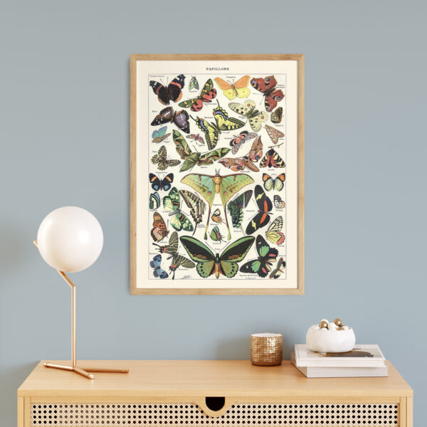 Papillons - Motyle – plakat vintage we wnętrzu