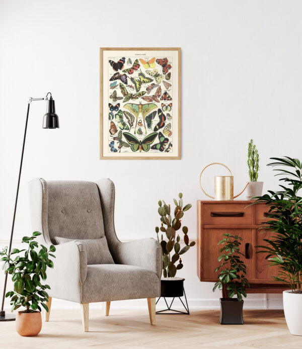 Papillons - Motyle – plakat vintage we wnętrzu