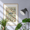 bibliografika-plakat-vintage-owoce-fruit-02 Fruits - Owoce – plakat vintage we wnętrzu