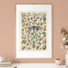 bibliografika-plakat-vintage-owoce-fruit-04 Fruits - Owoce – plakat vintage we wnętrzu