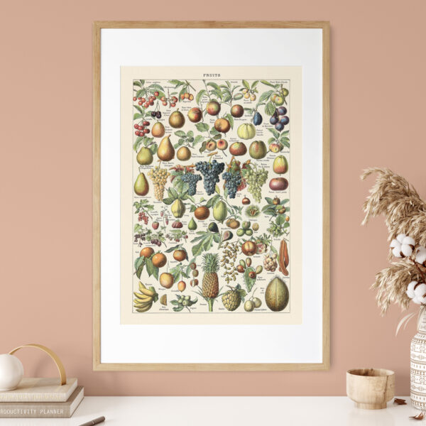 bibliografika-plakat-vintage-owoce-fruit-04 Fruits - Owoce – plakat vintage we wnętrzu