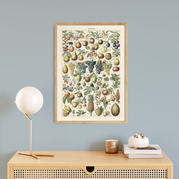 bibliografika-plakat-vintage-owoce-fruit-06 Fruits - Owoce – plakat vintage we wnętrzu