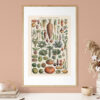 bibliografika-plakat-vintage-warzywa-legumes-do-kuchni-02 Legumes - Warzywa – plakat vintage we wnętrzu