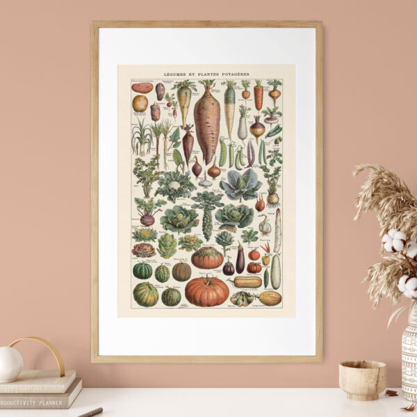 bibliografika-plakat-vintage-warzywa-legumes-do-kuchni-02 Legumes - Warzywa – plakat vintage we wnętrzu