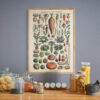 bibliografika-plakat-vintage-warzywa-legumes-do-kuchni-03 Legumes - Warzywa – plakat vintage we wnętrzu