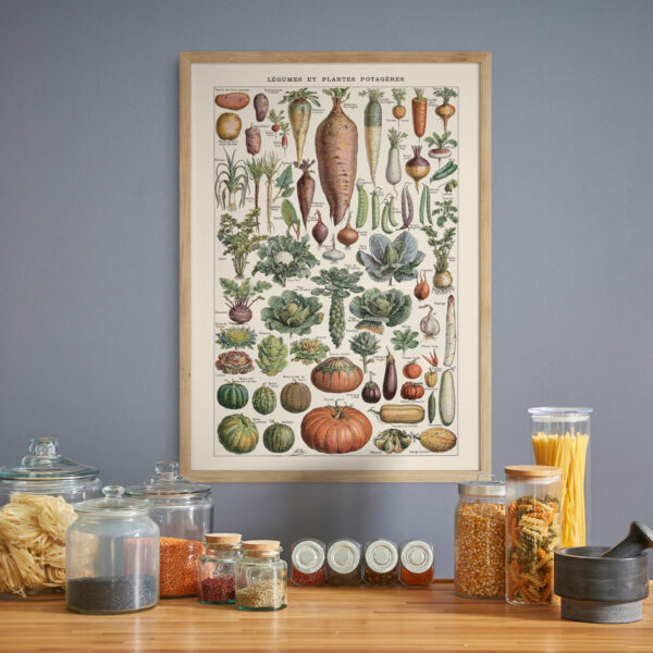 bibliografika-plakat-vintage-warzywa-legumes-do-kuchni-03 Legumes - Warzywa – plakat vintage we wnętrzu