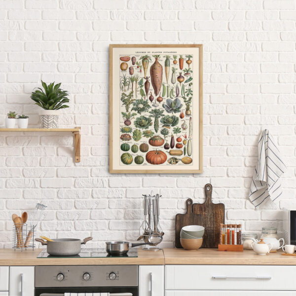 bibliografika-plakat-vintage-warzywa-legumes-do-kuchni-05 Legumes - Warzywa – plakat vintage we wnętrzu
