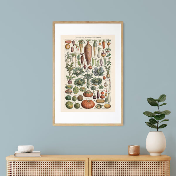 bibliografika-plakat-vintage-warzywa-legumes-do-kuchni-06 Legumes - Warzywa – plakat vintage we wnętrzu