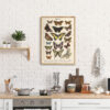 Lepidoptera - Motyle I – plakat vintage we wnętrzu