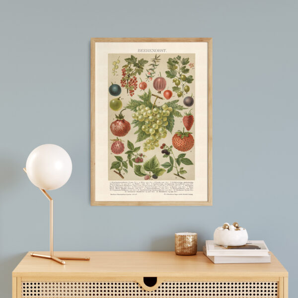 Beerenobst - Owoce jagodowe – plakat vintage we wnętrzu