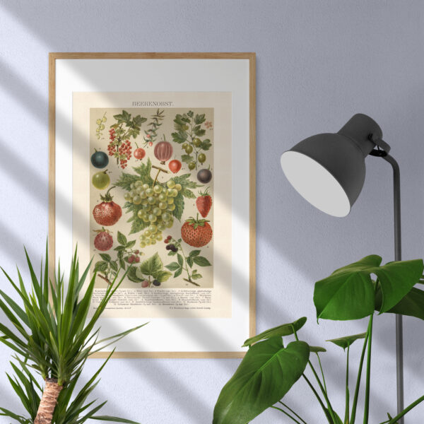 Beerenobst - Owoce jagodowe – plakat vintage we wnętrzu
