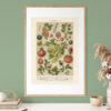 Beerenobst - Owoce jagodowe – plakat vintage we wnętrzu