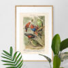 Papageien - Papugi – plakat vintage we wnętrzu
