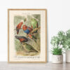 Papageien - Papugi – plakat vintage we wnętrzu