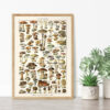 bibliografika-plakat-vintage-grzyby-champignons-04 Champignons - Grzyby – plakat vintage we wnętrzu