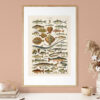 Poissons - Ryby – plakat vintage we wnętrzu