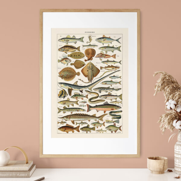Poissons - Ryby – plakat vintage we wnętrzu