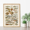 Poissons - Ryby – plakat vintage we wnętrzu