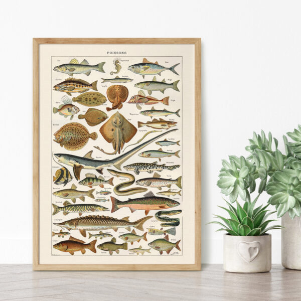 Poissons - Ryby – plakat vintage we wnętrzu