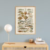Poissons - Ryby – plakat vintage we wnętrzu
